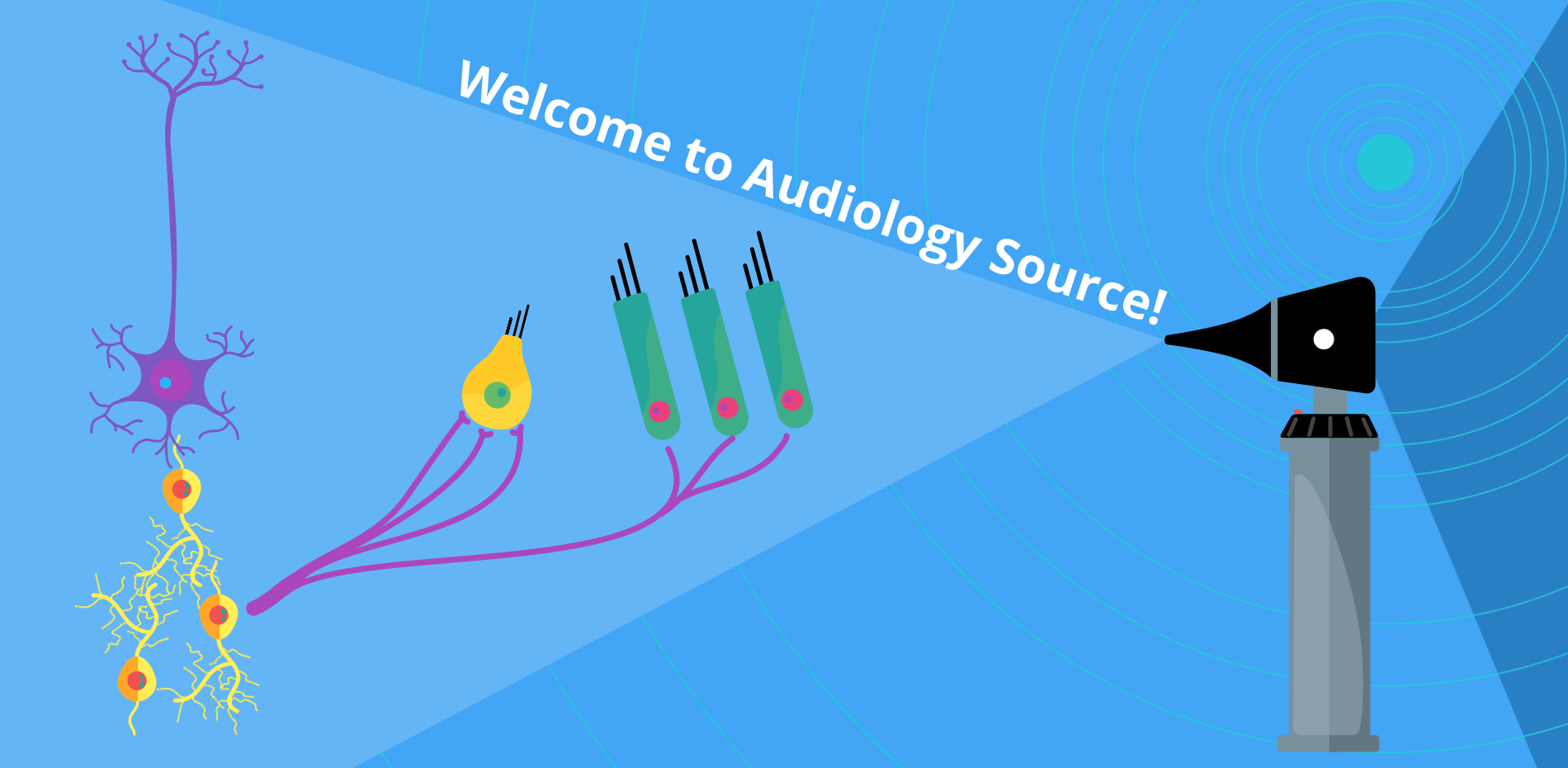 Audiology Source